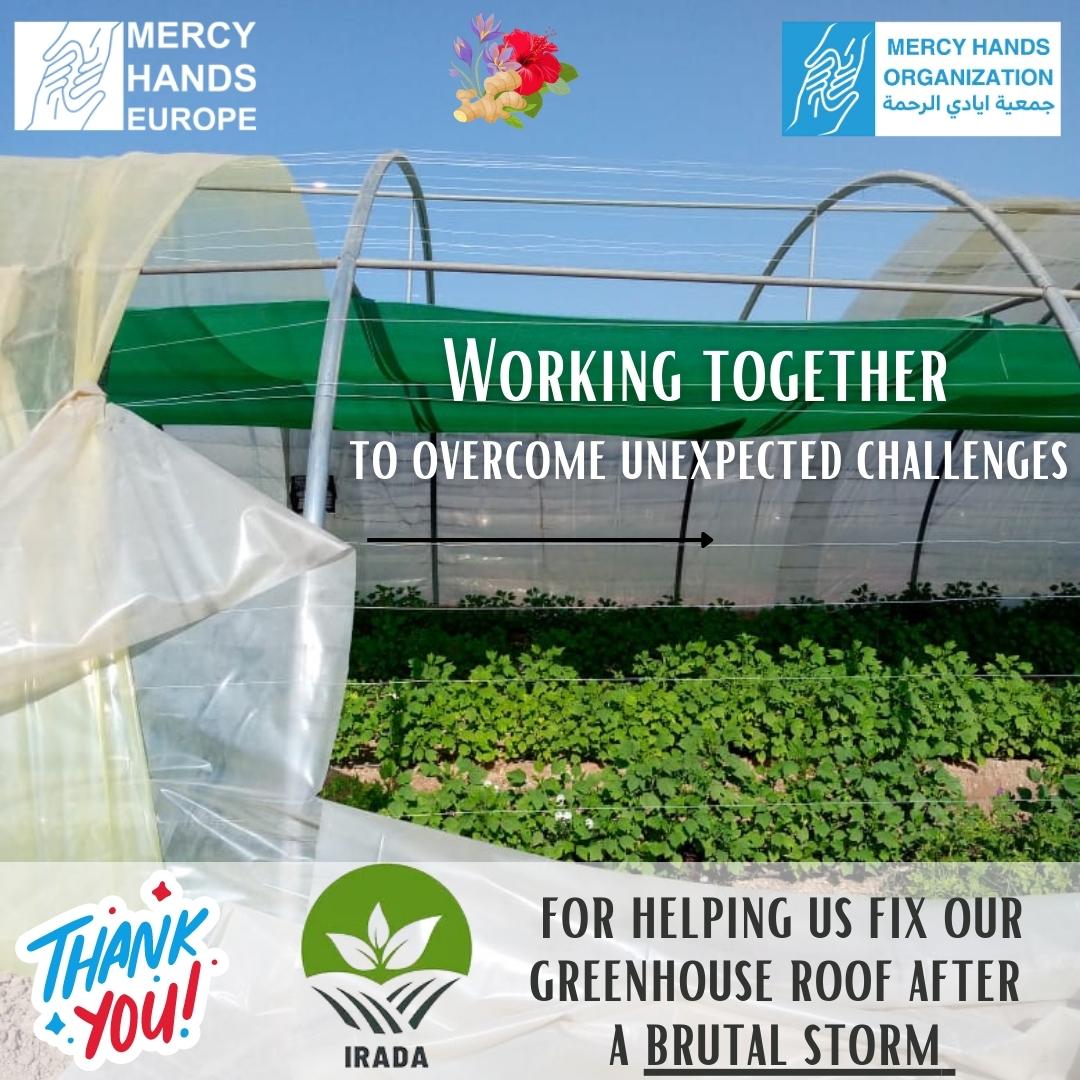 This week at Domiz 2 Camp a huge🌪destroyed the roof of our #agriculture #livelihood project greenhouse. We are grateful to <a href="/Iraqi_IRADA/">IRADA</a> for offering to replace our roof and join our project🙏It's fitting that Irada is the Arabic word for will➡️where there's a will there's a way!