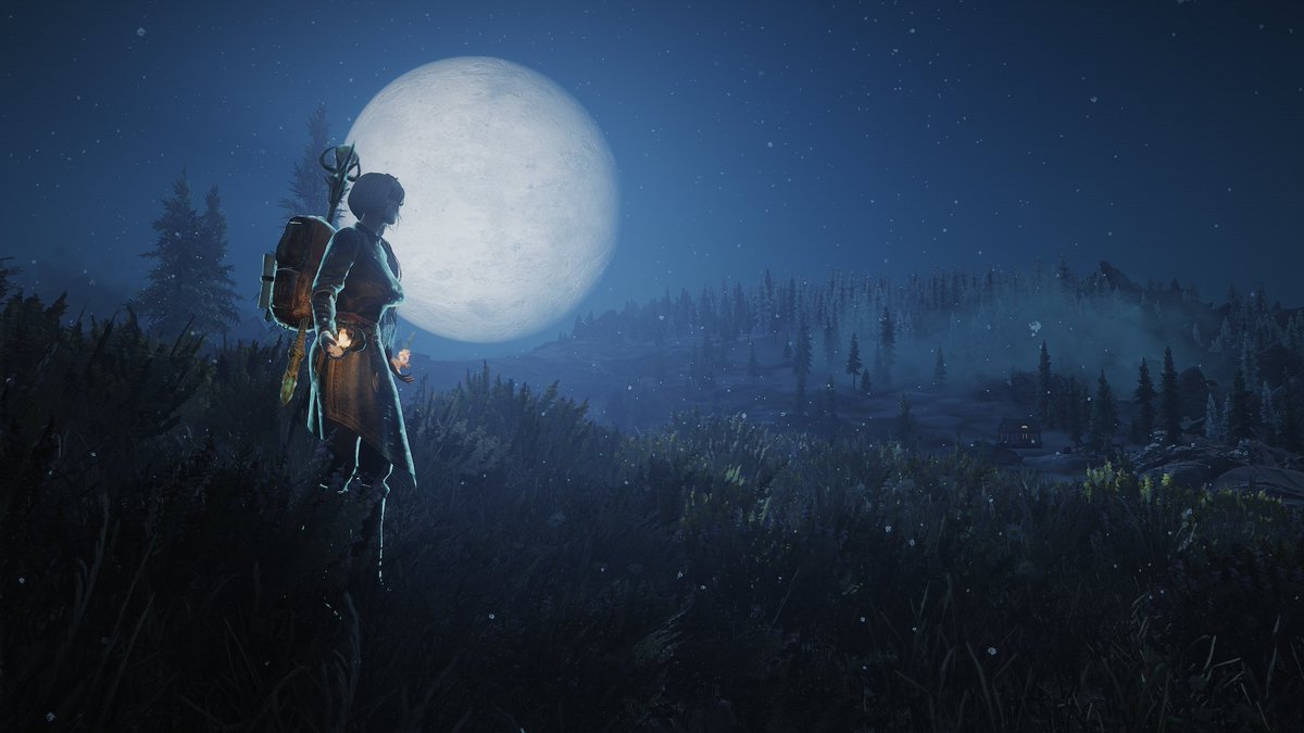 Freya (@freya6185251) on Twitter photo 