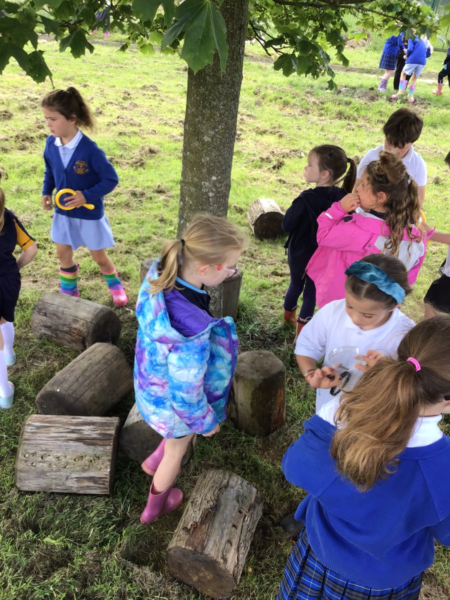 stmariesyear2's tweet photo. It’s Fieldwork Fortnight! Year one and two have been investigating if our school grounds are a good environment for wildlife to live and grow… https://t.co/5IvsuIYSv4