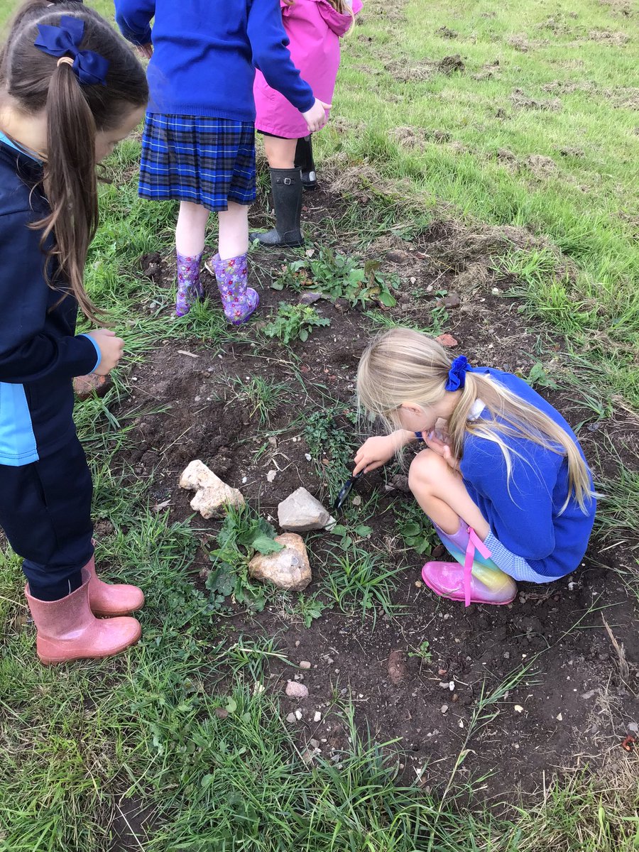 stmariesyear2's tweet photo. It’s Fieldwork Fortnight! Year one and two have been investigating if our school grounds are a good environment for wildlife to live and grow… https://t.co/5IvsuIYSv4