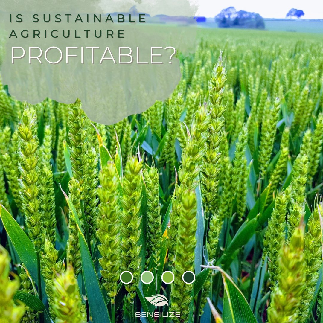 sensilize's tweet image. The question is, can sustainable agriculture be profitable?

Visit our LinkedIn page to read more: bit.ly/3JIkF8D

#SustainableAgriculture #SmartFarming #PrecisionAgriculture