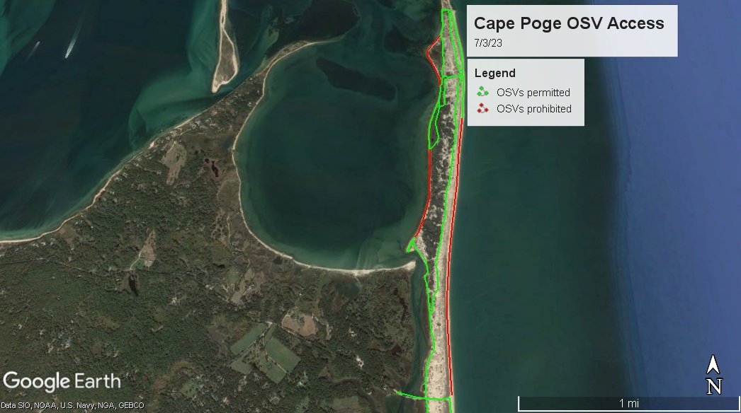 TheTrusteesMV's tweet image. #beachupdatesMV beaches are accreting sand. Some chicks have fledged. New openings on #CapePogeWildlifeRefuge and #LelandBeach