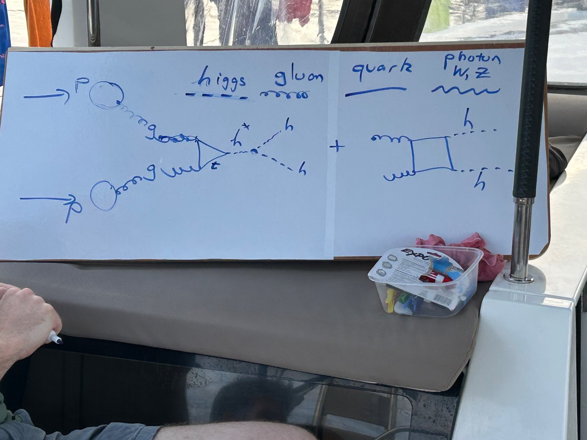 YulingYao's tweet image. Attending a workshop “Bayesian stats for particle physics beyond the standard model”. Could you be cooler than learning cool physics at Agnes sea?