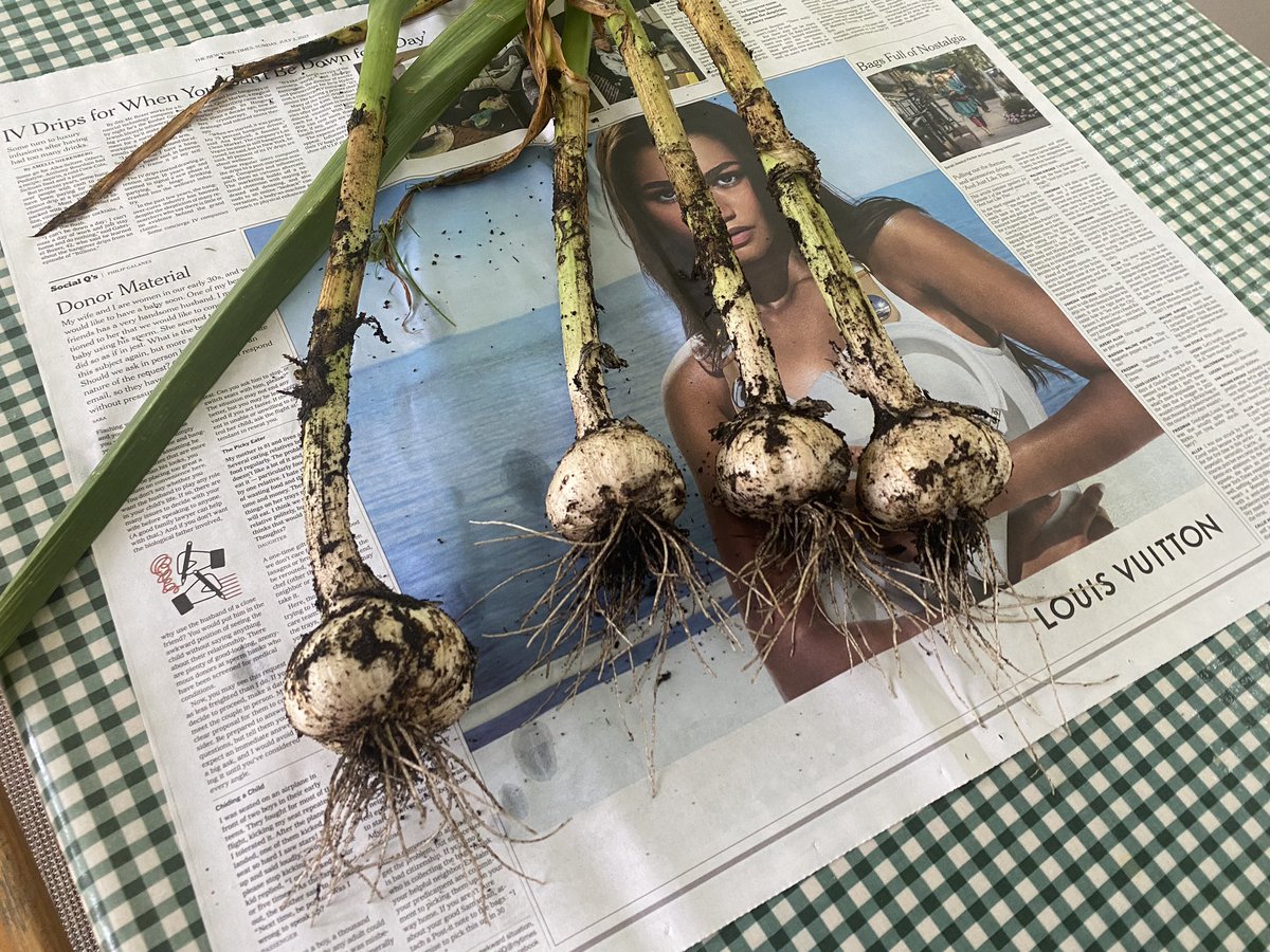 compost maven tweet media