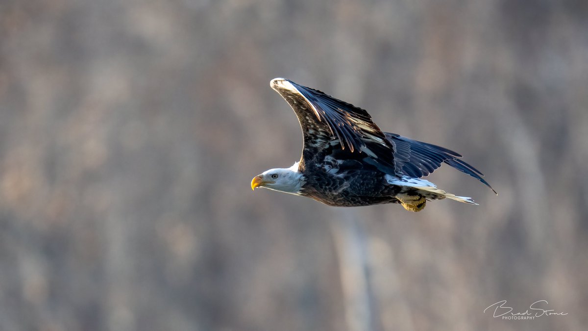 Happy 4th of July! May we never forget the sacrifices many have made that enable the freedoms we have today.
(Photos were taken at Grand Lake in late December 2022)