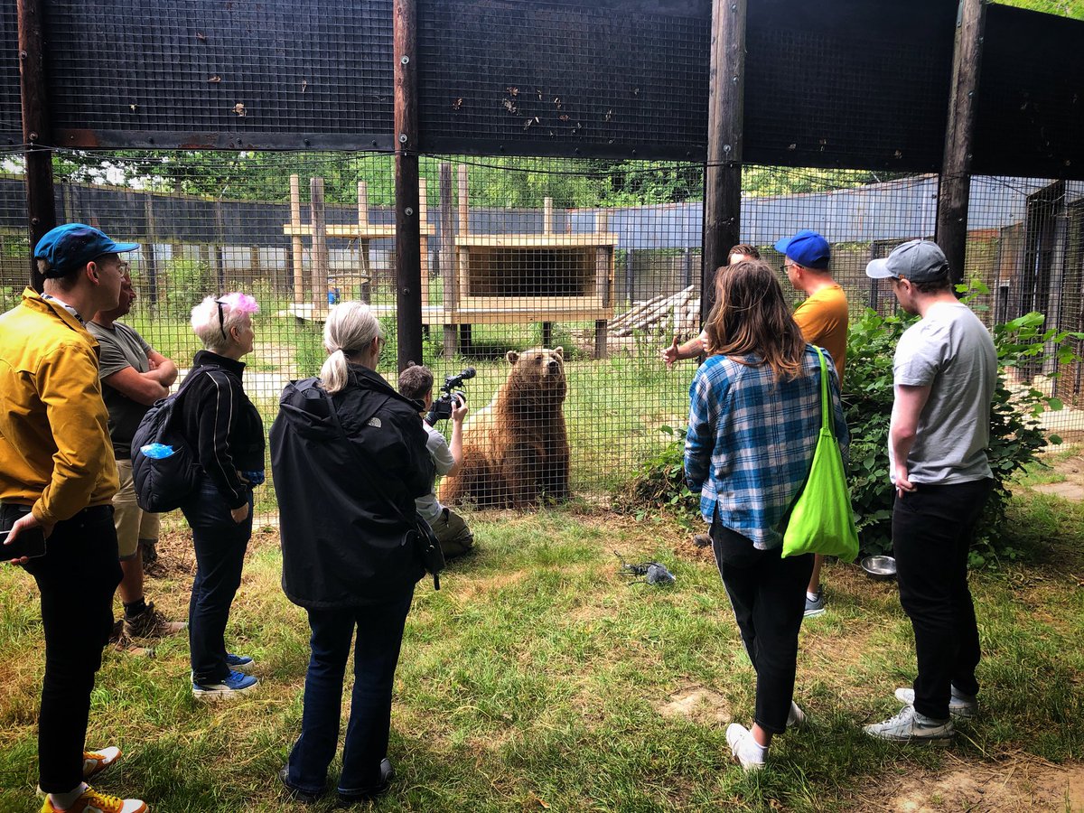 Another snap of the #BoxOfficeBears team face-to-face with Scruff the Bear @wildwoodtrustuk yesterday. This encounter made us all rethink our research on bears as we met these individuals.

#animalhistory #bearhistory #bear