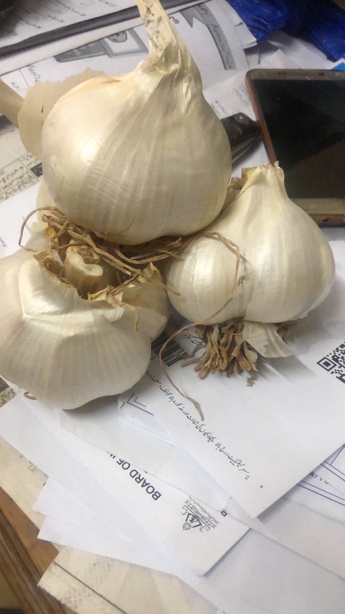 tnmschool's tweet photo. G1 Garlic full dry for sale 03338608095 https://t.co/rQ4NQXK2lO