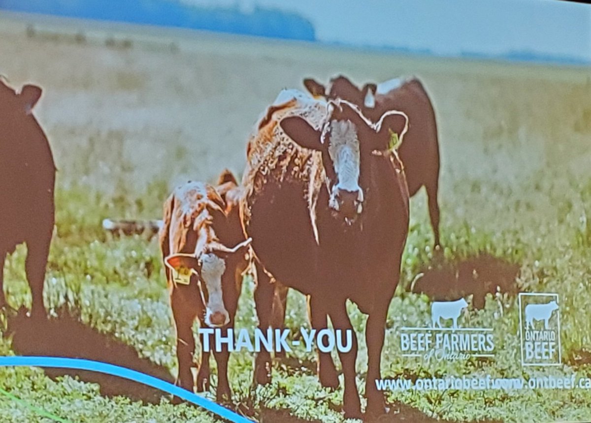 PinchHill's tweet photo. Excellent Presentation from @BeefFarmersON and @barstowmiller at the Beef Improvement Federation Young Producers segment this afternoon in Calgary #BIF2023 https://t.co/CsldHDBVY4