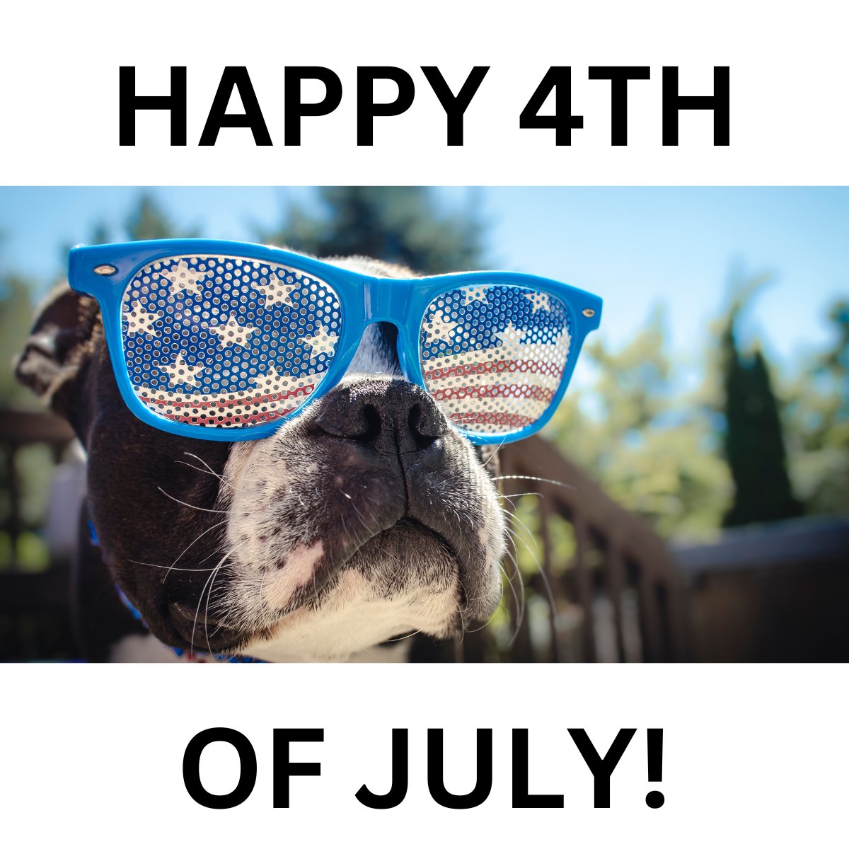 Happy 4th of July from the Lodestar team! We are currently out of the office enjoying some family time and snuggling our pups! Enjoy the day!