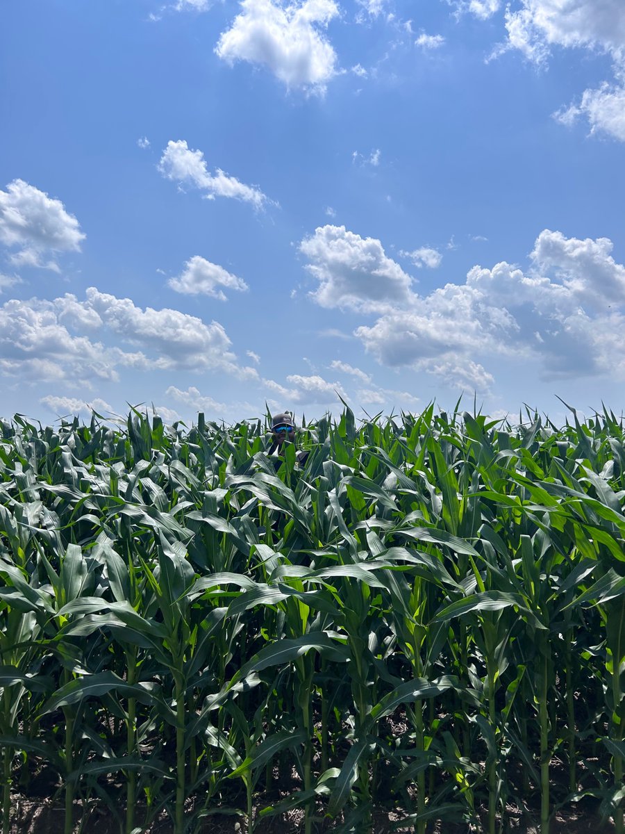 Knee-high by the 4th of July! 

Happy Independence Day!