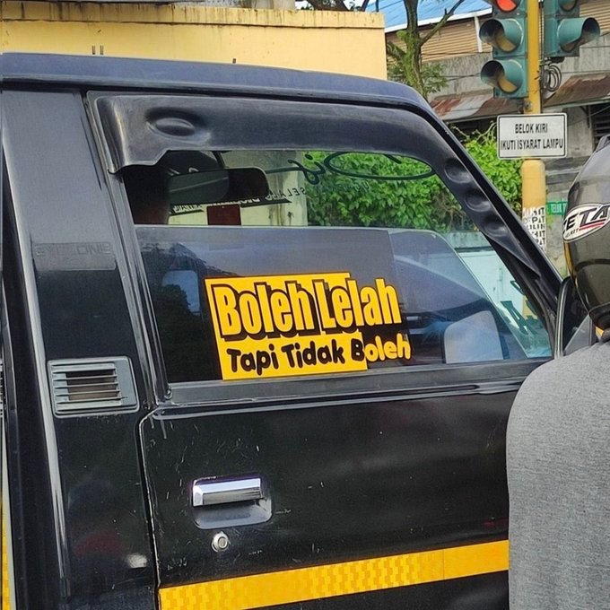 tazsqi 🦈 tweet media