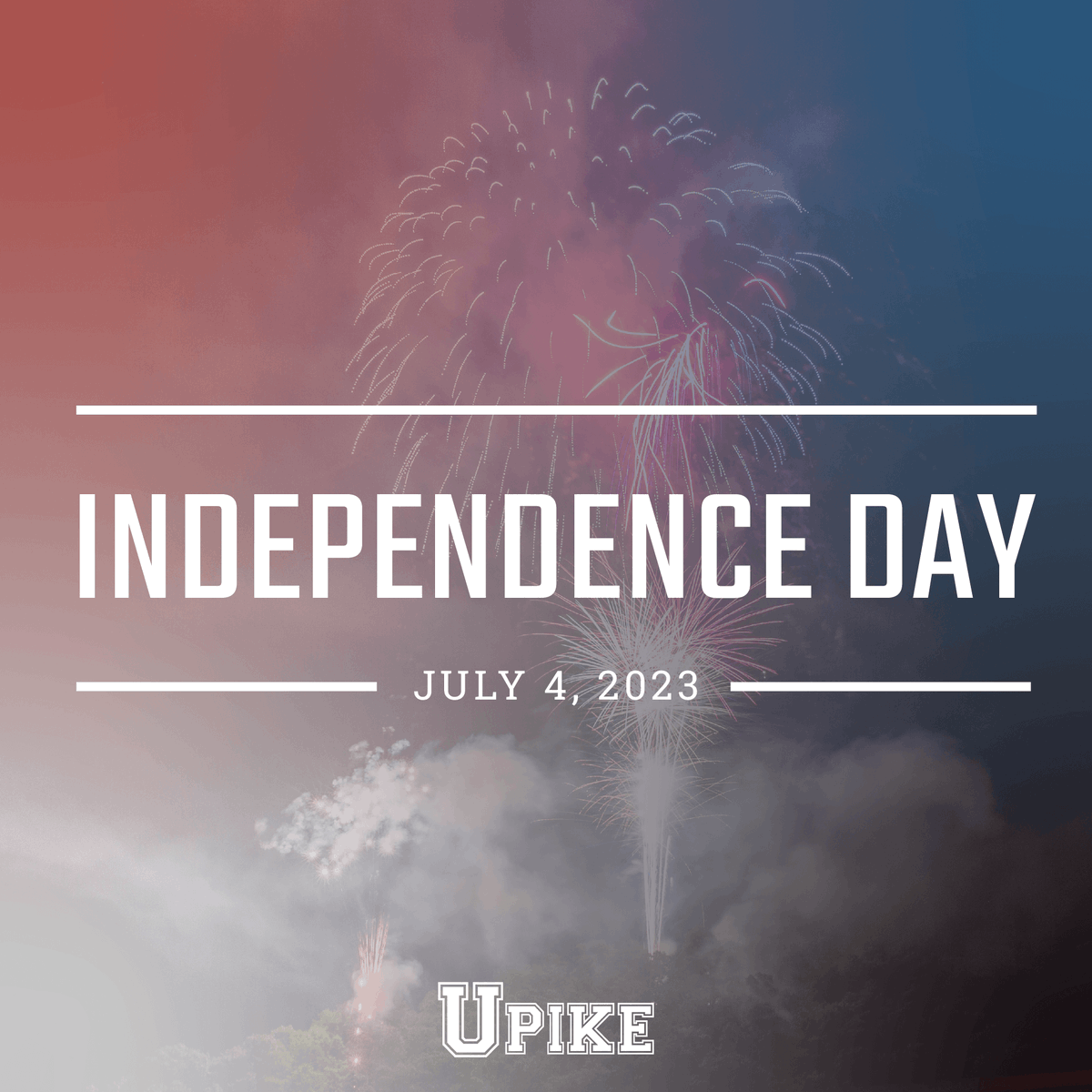 UPIKE 🐻 tweet media