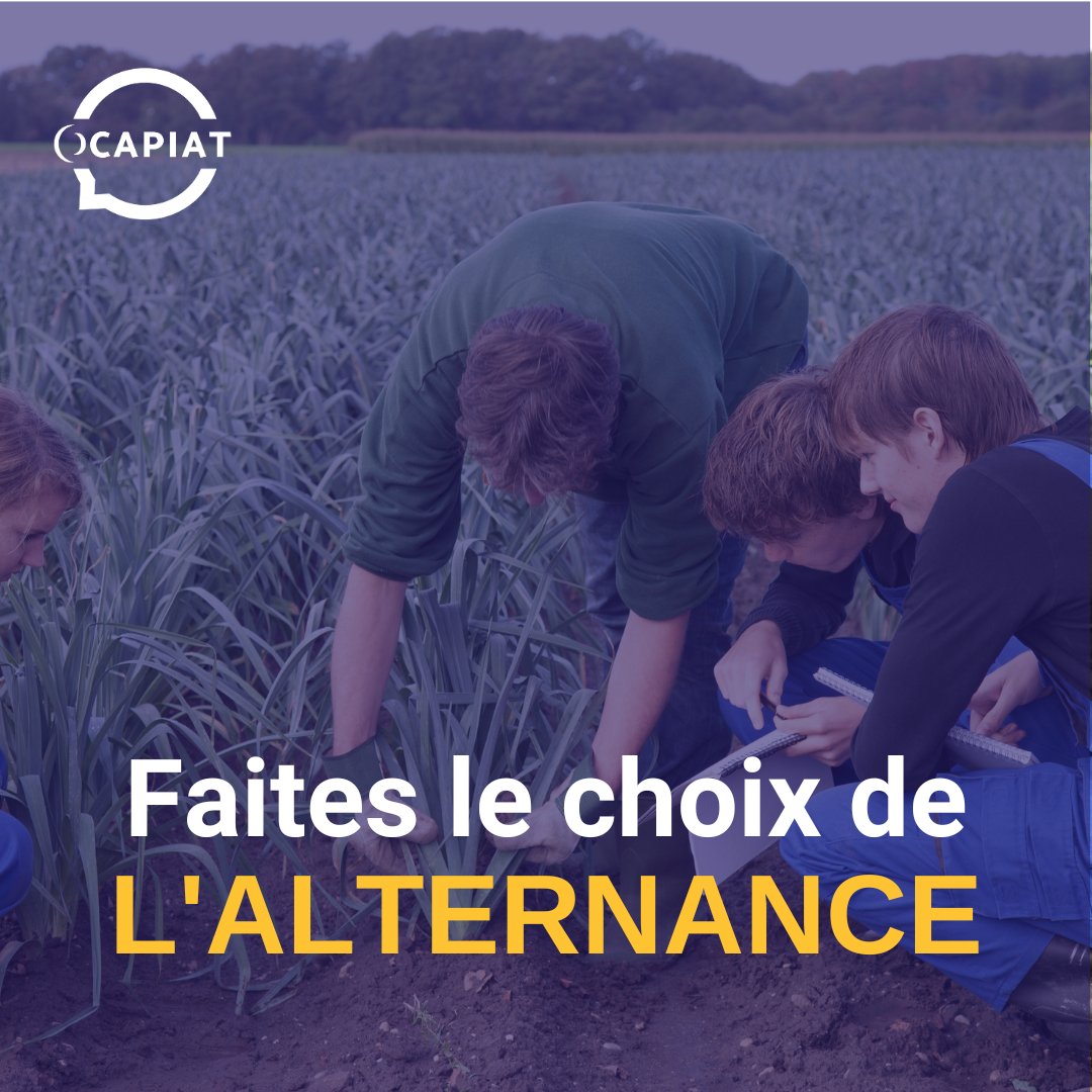OCAPIAT_PACA's tweet image. [Alternance]

⏰Maintenant que les résultats du #baccalauréat sont tombés et que ceux du #brevet des collèges arrivent, place à la recherche de formation !

Les secteurs de l&apos;#agriculture, l&apos;#agroalimentaire et la #pêche recrutent bon nombre de futurs talents en #alternance.