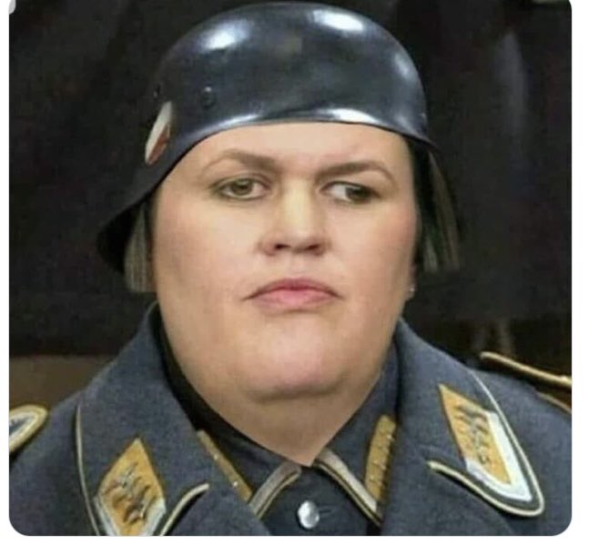 It’s 2023 and this is the USA and Governor Huckabeast signed a law that would jail librarians for giving out banned books.