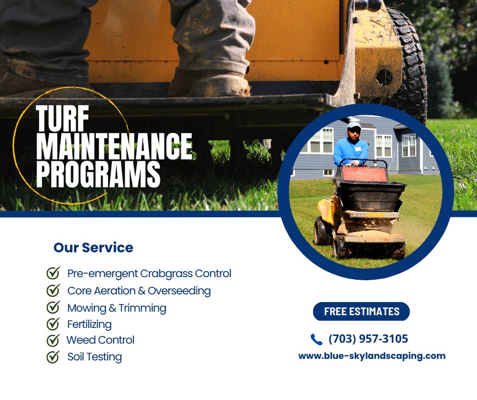 BlueSkyLScaping's tweet photo. Let your lawn shine! 🌟 Blue Sky Landscaping's Turf Maintenance Program ensures a vibrant, healthy outdoor space you'll love:
#TurfTransformation #BackyardBliss #turfcare #lawncare https://t.co/9htU4ybOpx