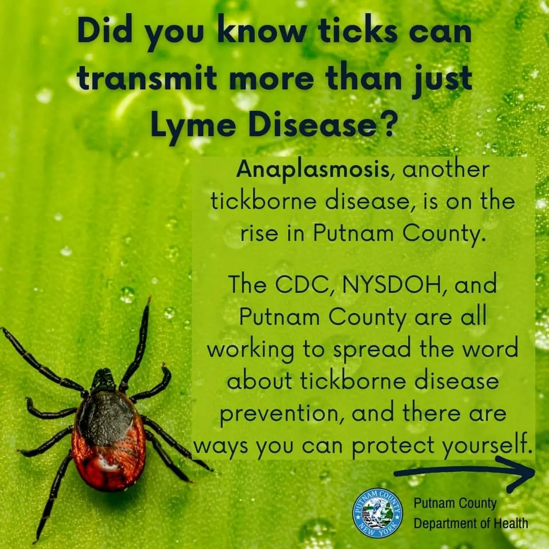 This time of year, ticks are at their peak. The Putnam County Board of Health has issued ways you can protect yourself

Read more at ow.ly/Xx8350P2UIw

Putnam Valley #putnamvalleyny #putnamcounty #putnamcoutyny #ticks #tickbornediseases #tickborneillness #tickborneillnesses