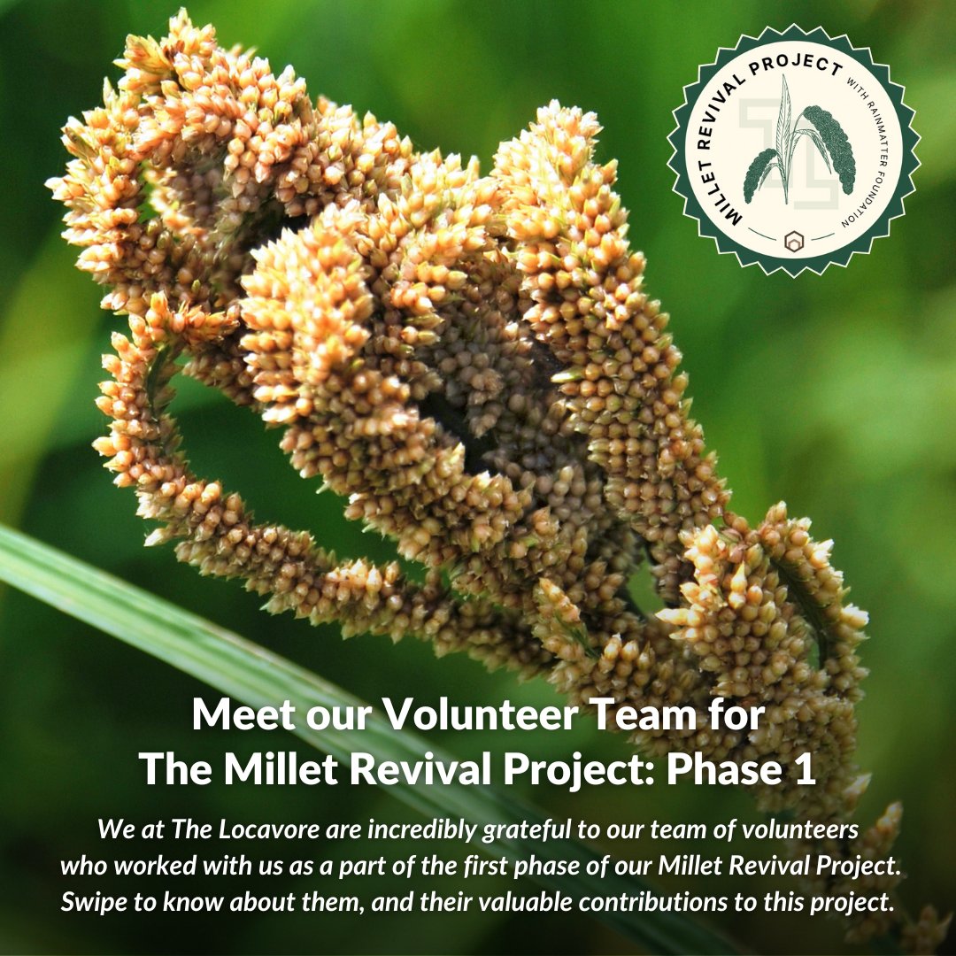 The Locavore (@thelocavorein) on Twitter photo At <a href="/TheLocavoreIn/">The Locavore</a>, the impact-driven projects we take up are supported by volunteers whose endeavours and contributions help us achieve our goals in efficient and purposeful ways.
And our #MilletRevivalProject in association with <a href="/RainmatterOrg/">Rainmatter Foundation</a> hasnāt been any different. At <a href="/TheLocavoreIn/">The Locavore</a>, the impact-driven projects we take up are supported by volunteers whose endeavours and contributions help us achieve our goals in efficient and purposeful ways.
And our #MilletRevivalProject in association with <a href="/RainmatterOrg/">Rainmatter Foundation</a> hasnāt been any different.
