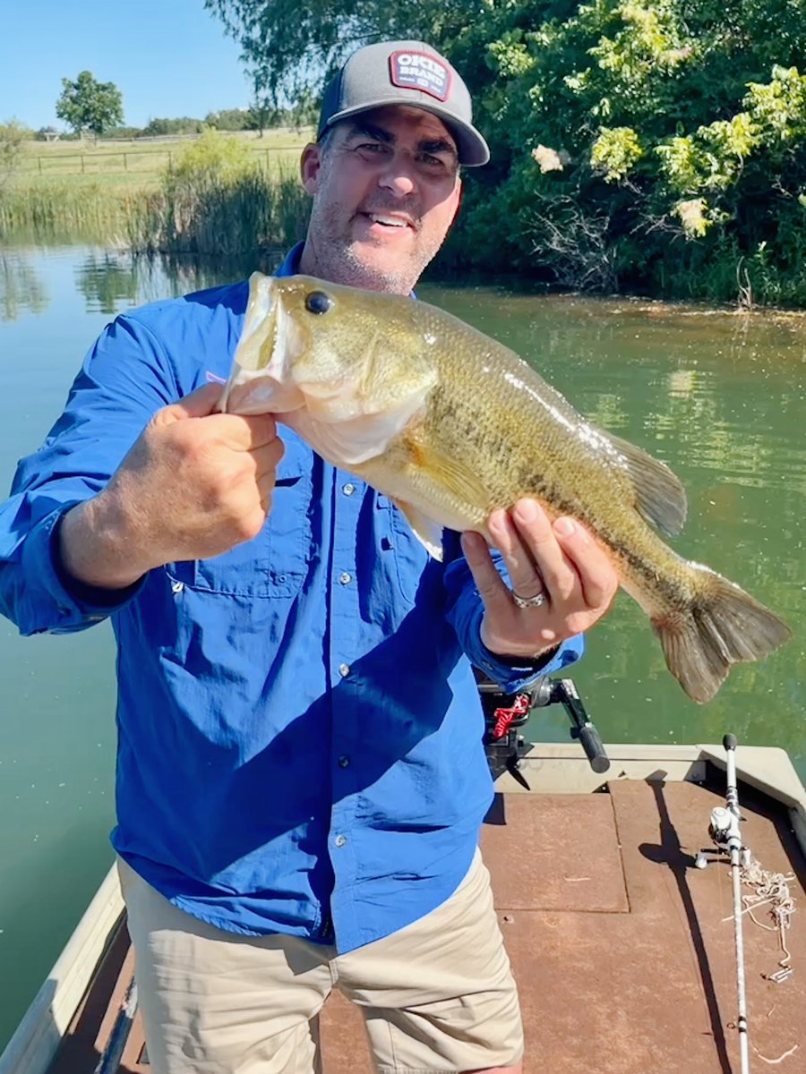 Governor Kevin Stitt tweet media