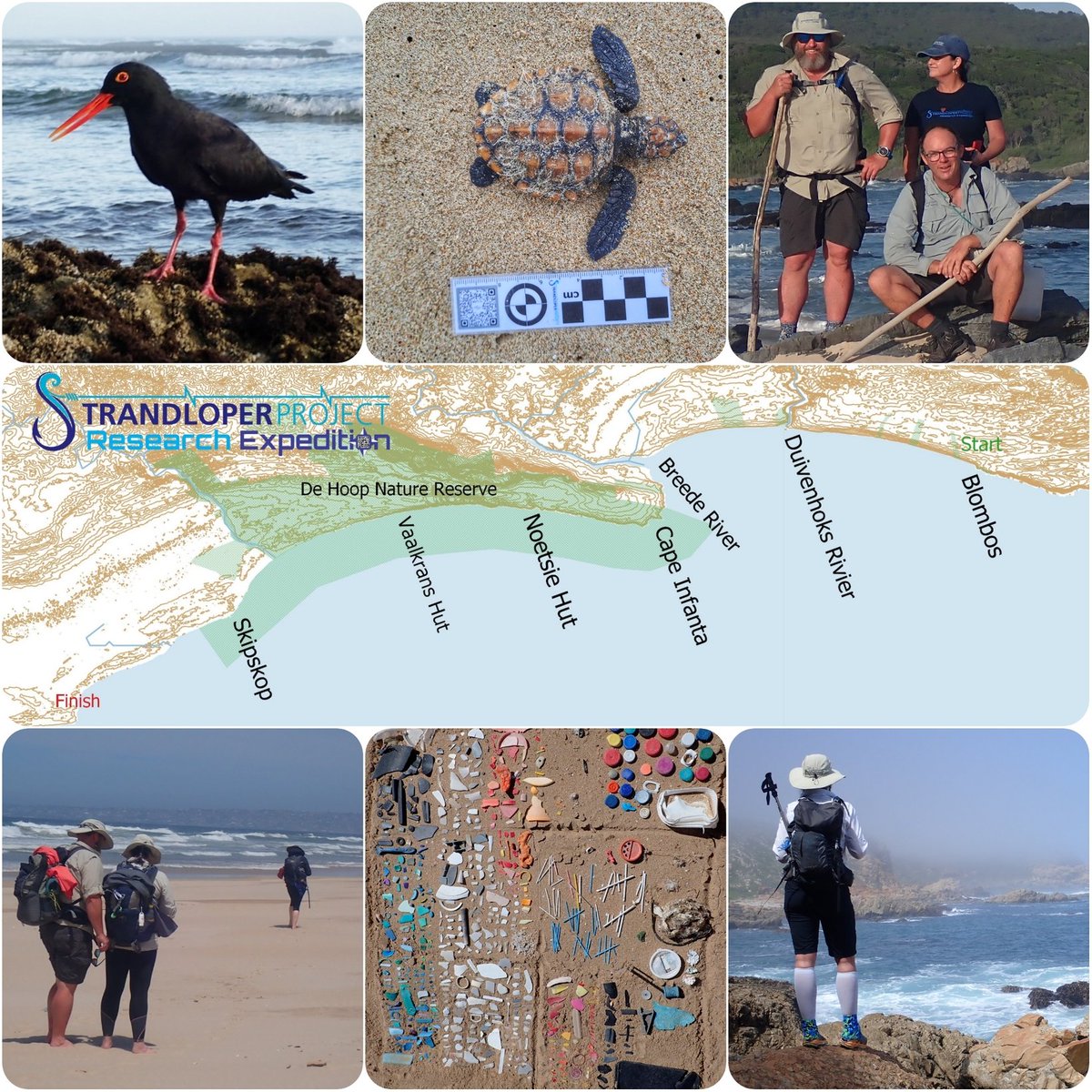 With just under 4 weeks to go, the #StrandloperProject #research crew are super excited as the final preparations for the 2023 #expedition are made before setting off at the end of the month. This year they #hike from Blombos to Arniston. #SPE23 strandloperproject.org/expedition2023…