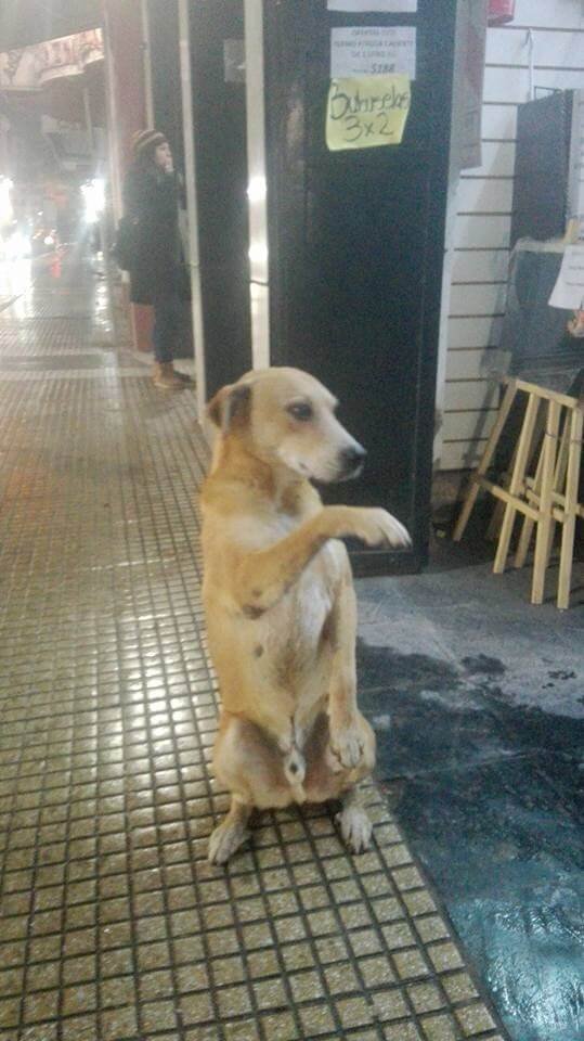 KohllBeauty's tweet photo. POV: Com licença, será que a senhora poderia me dar um pouco de hidratante da Kohll? https://t.co/zNL9tCaSaD