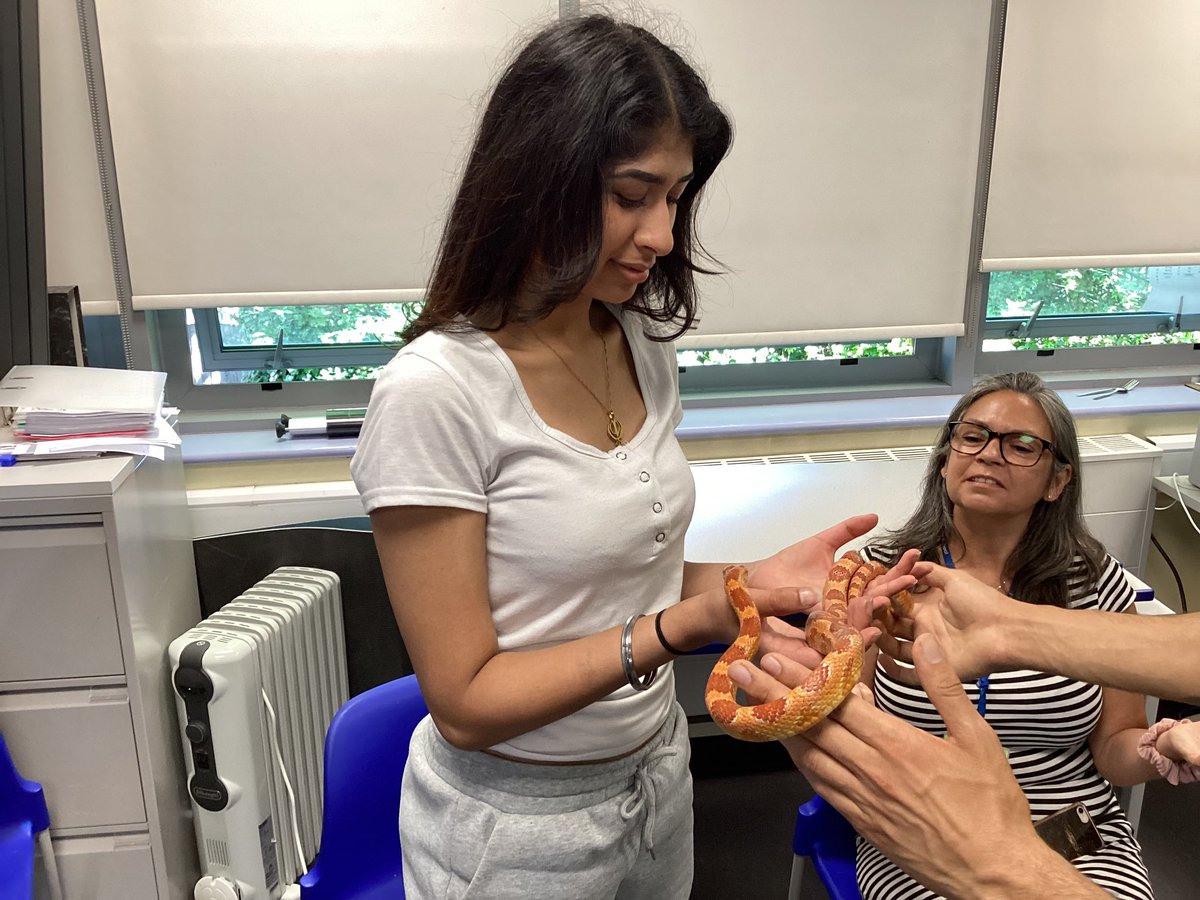 BlancheNevile's tweet photo. Big thanks to Faik from @WildFangsUK who came to visit us last week. The students really enjoyed meeting Shelly, Leafy and the other amazing creatures and BN staff all got involved too! #deaf #deafeducation #BSL #inclusion #science #STEM #stemforkids #biology https://t.co/RTGu4pw7MJ