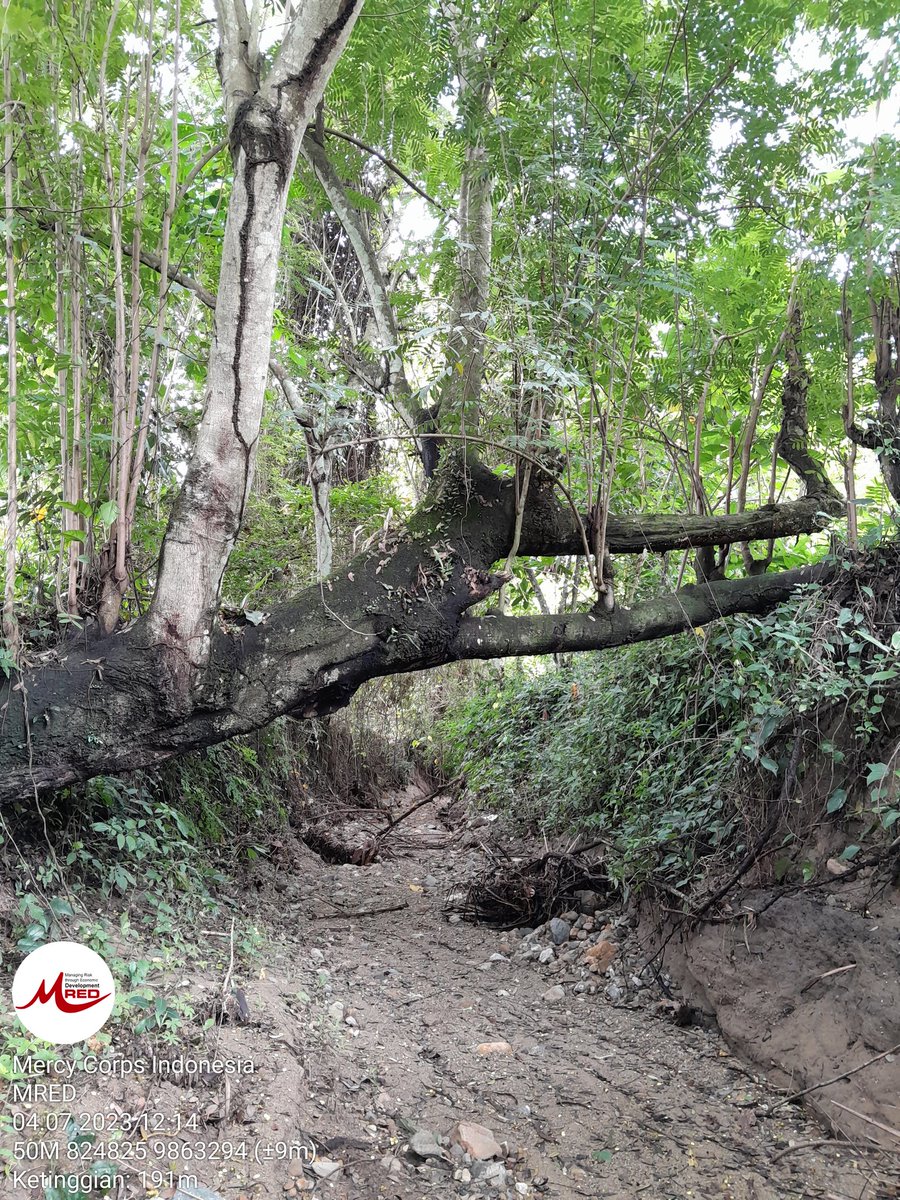 Surveyor Life
#MRED
#MercyCorpsIndonesia