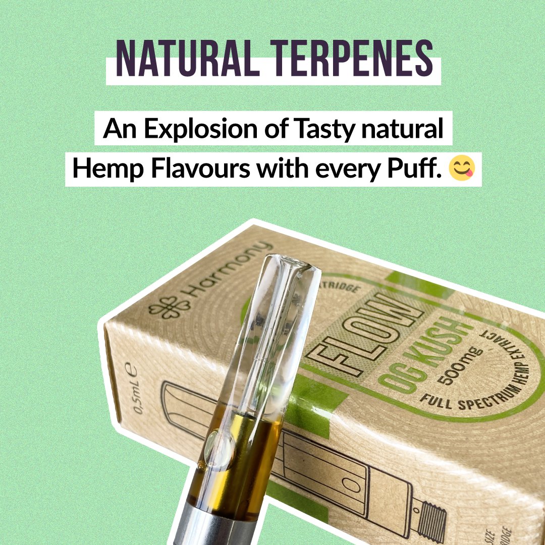 🔞Vapers, smokers, ready for a richer #CBD experience ?!
Meet  FLOW: a game-changer #FullSpectrum #vape pen for a closer-to-nature experience 🌿 
Over 75% #cannabinoids in every #puff, enriched with #terpenes for calming effects. 🧘‍♀️ Prepare for flavor overload 😋 #vapecommunity