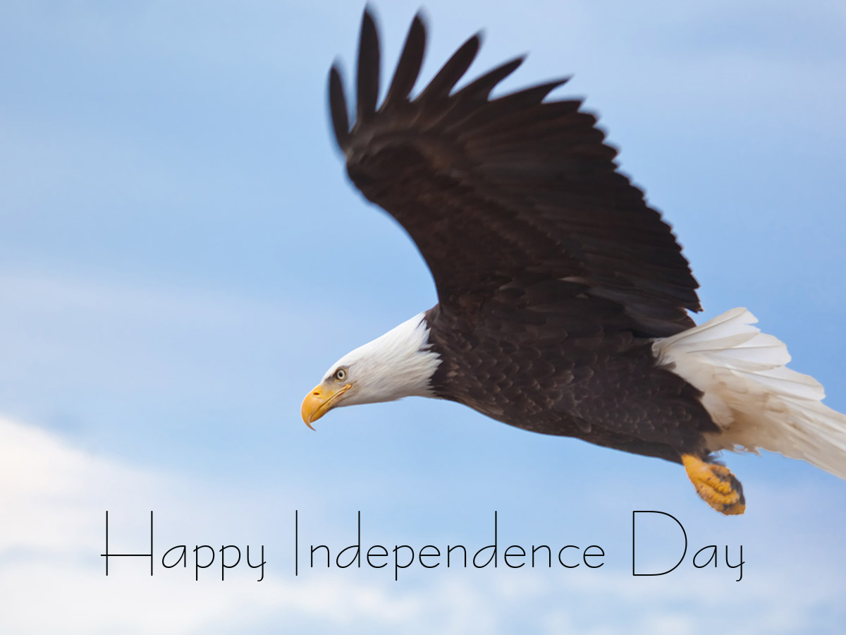 TheMisterClark's tweet photo. Celebrate your freedom this #4thofJuly! #IndependenceDay https://t.co/G3FBcLEssq