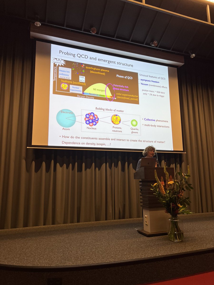 PhilippMoesta's tweet photo. Day 2 at #GRAPPA10: GWs, quantum gravity, ET, primordial BHs, DM https://t.co/5Gh1sjuYeq