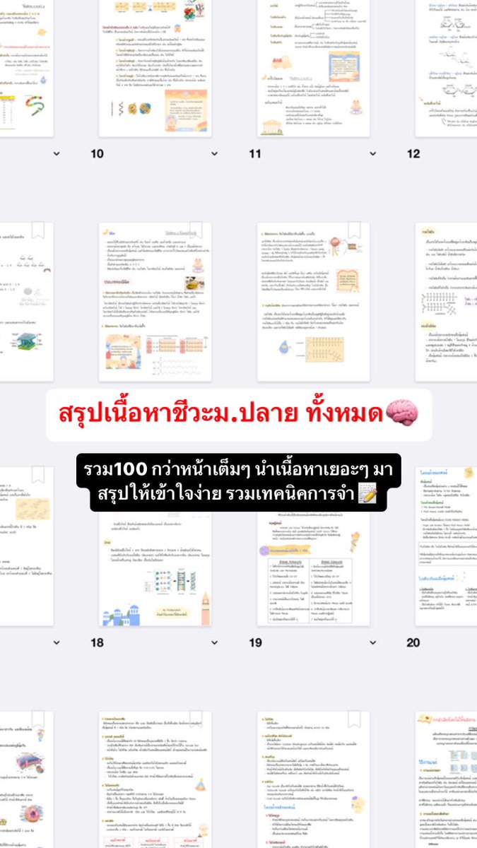 fromscratchstdy's tweet photo. สรุปเนื้อหาชีวะม.ปลาย ทั้งหมด⭐️⭐️

เนื้อหาครบทุกหัวข้อม.4-6 เลย สนใจDm ได้เลยน้า💌
#dek66 #dek67 #dek68 #dek69 #TCAS67 #Alevel67 https://t.co/Utfru9twOb