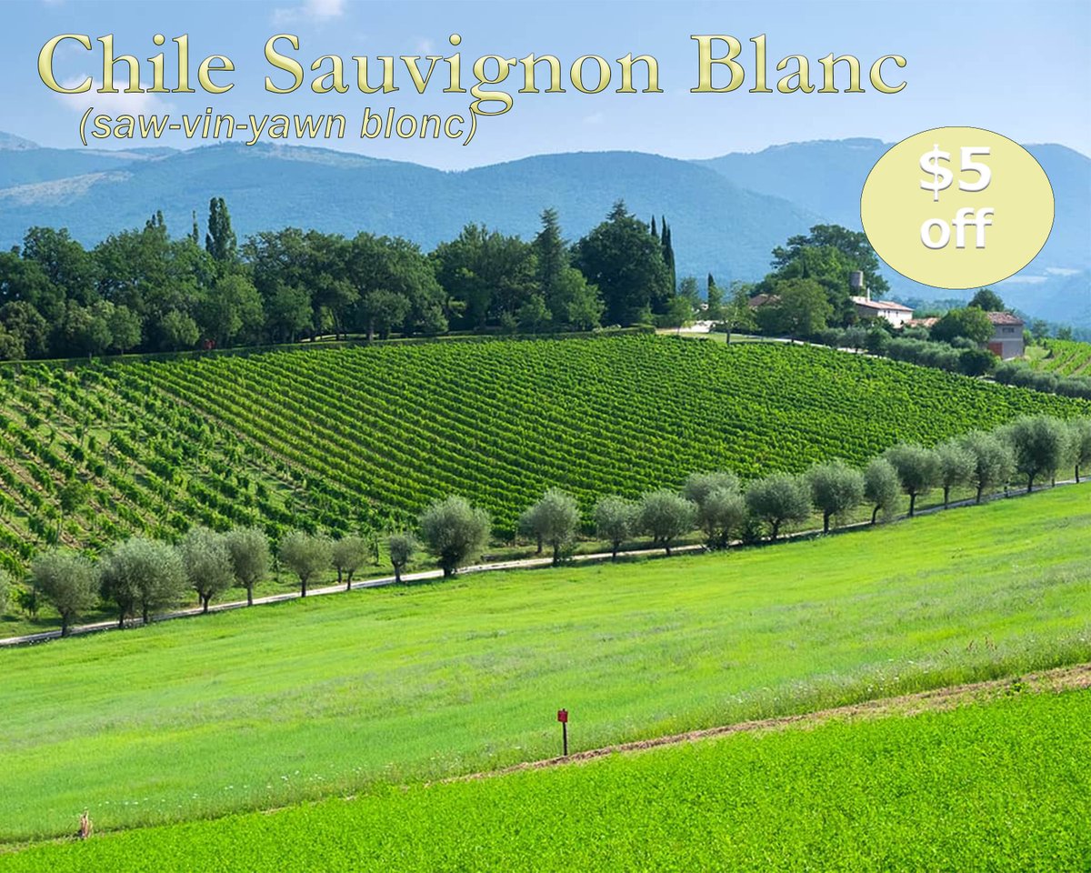 ExquisiteWines's tweet photo. We have a great red wine special on this month with everyone's favourite Chilean Cabernet Sauvignon. Medium body red wine with a dry smooth finish. Compliments any meal and can be on it's own as well.
https://t.co/SVT1myCWNR https://t.co/jNAlklMex8