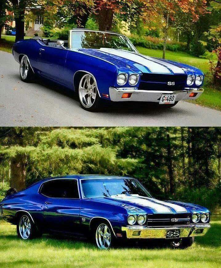 Tuesday!! Top or Bottom ?? Hmm 🤔?¿