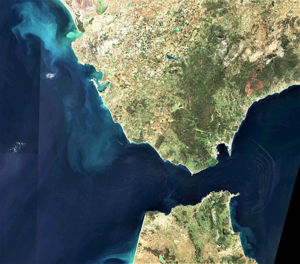 ICaballero28's tweet photo. El Estrecho de Gibraltar sigue observándose con gran detalle mediante los satélites Sentinel-2 🛰️ @CopernicusEU 

Las ondas internas se propagan en su camino hacia el mar de Alborán🌊🌊🌊🌊

@ICMAN_CSIC @IEOoceanografia @CeimarDe https://t.co/AJyFXUSBSa