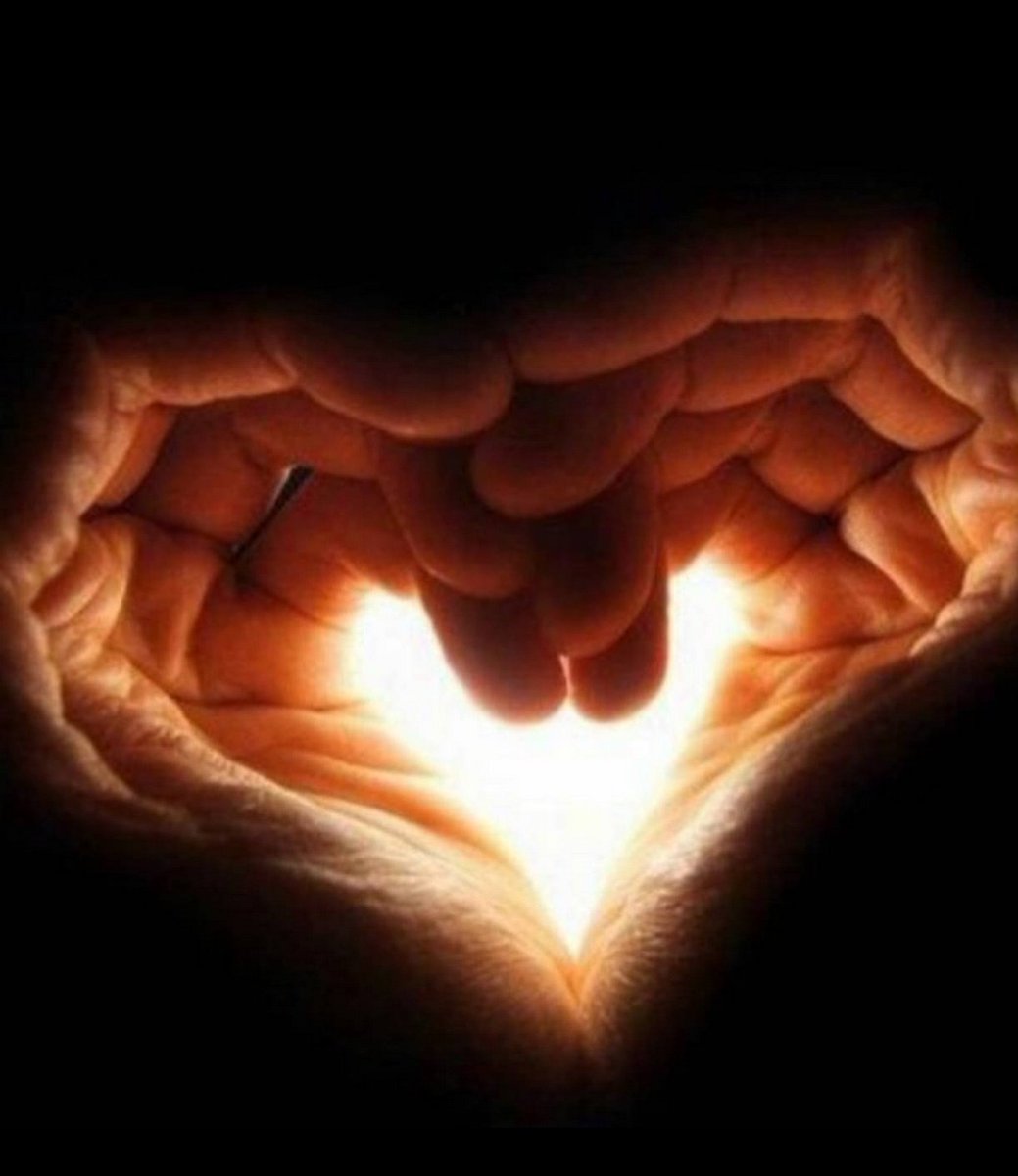 1hayat1yaprak's tweet image. &quot;Elimden bir şey gelmiyor deme, avuçlarında ne #dualar gizlidir.&quot;🌱

-Mehmet Yıldız