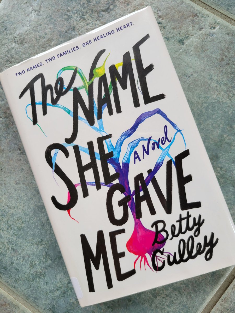 #YA #novelinverse set in #Maine by #maineauthor @bettyculley. Adopted as a baby,  Rynn's quest to find her family is an emotional read that I couldn't put down.  #msba23 #readingtime #summer23read