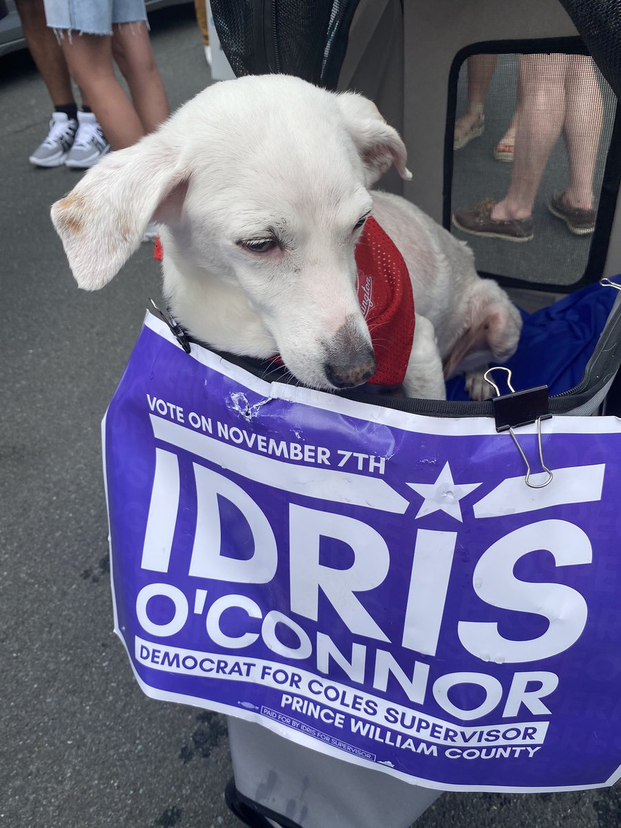 At the Dale City Fourth of July parade. More pix to come!