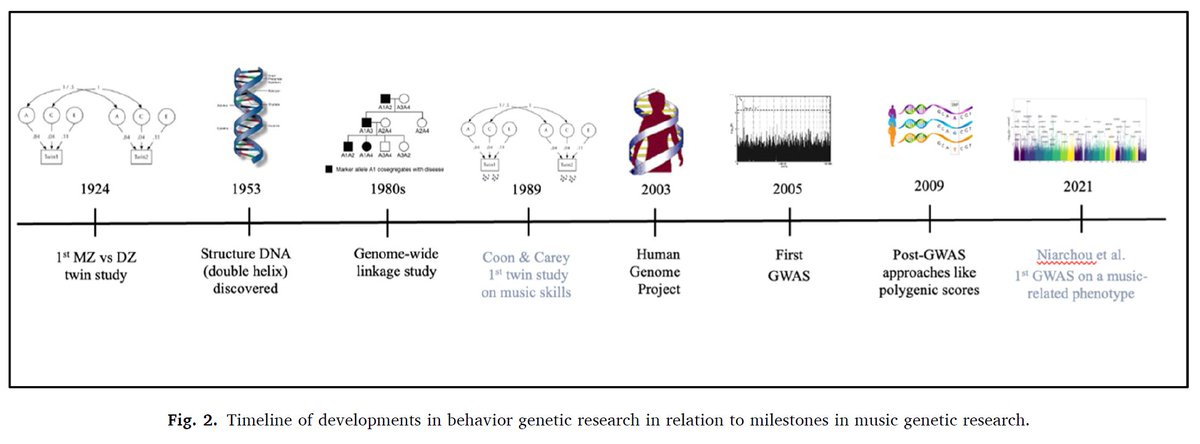 laurawesseldijk's tweet image. Our review of the field of music genetics is out 🎶🧬! From twin studies and molecular genetic studies to the wider utility of genetically informative data to explore causality and gene-environmental interplay underlying music skills (1/7 🧵) doi.org/10.1016/j.neub…