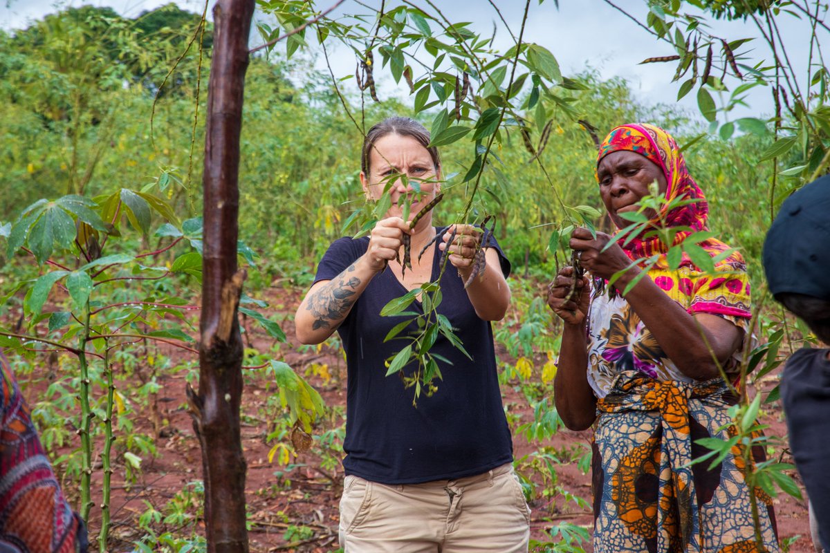 Did you know? Pugu Hills Eco Cultural Tourism actively engages in sustainable farming practices to provide organic, locally sourced meals for our guests. Taste the difference! #FarmToTable #SustainableDining'