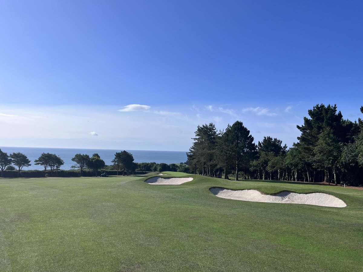 Brian Keogh tweet media