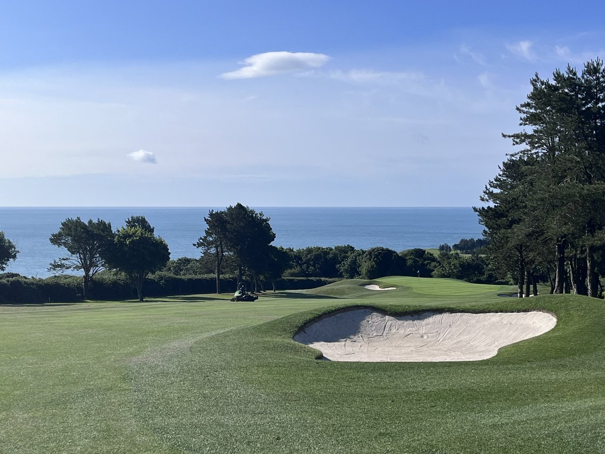 Brian Keogh tweet media