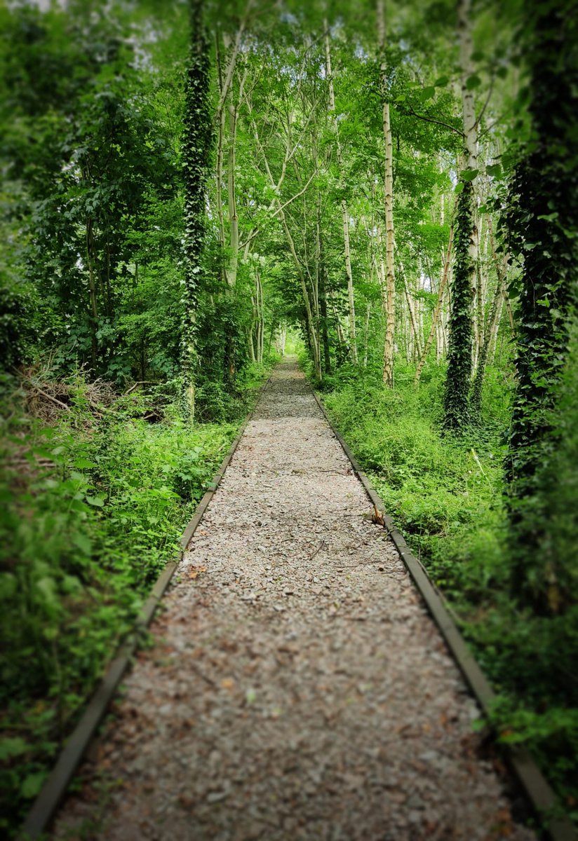 Foundry Wood (@foundrywood) on Twitter photo Wonderful to welcome the <a href="/LeamInBloom/">Leamington In Bloom</a> Judges to the woods today. Great to show them the newly restored pond, full of wildlife and the new Sidings area <a href="/LoveLeamington/">Royal Leamington Spa</a> <a href="/Warwick_DC/">Warwick District Council</a> <a href="/RLSTownCouncil/">Royal Leamington Spa Town Council</a> Wonderful to welcome the <a href="/LeamInBloom/">Leamington In Bloom</a> Judges to the woods today. Great to show them the newly restored pond, full of wildlife and the new Sidings area <a href="/LoveLeamington/">Royal Leamington Spa</a> <a href="/Warwick_DC/">Warwick District Council</a> <a href="/RLSTownCouncil/">Royal Leamington Spa Town Council</a>