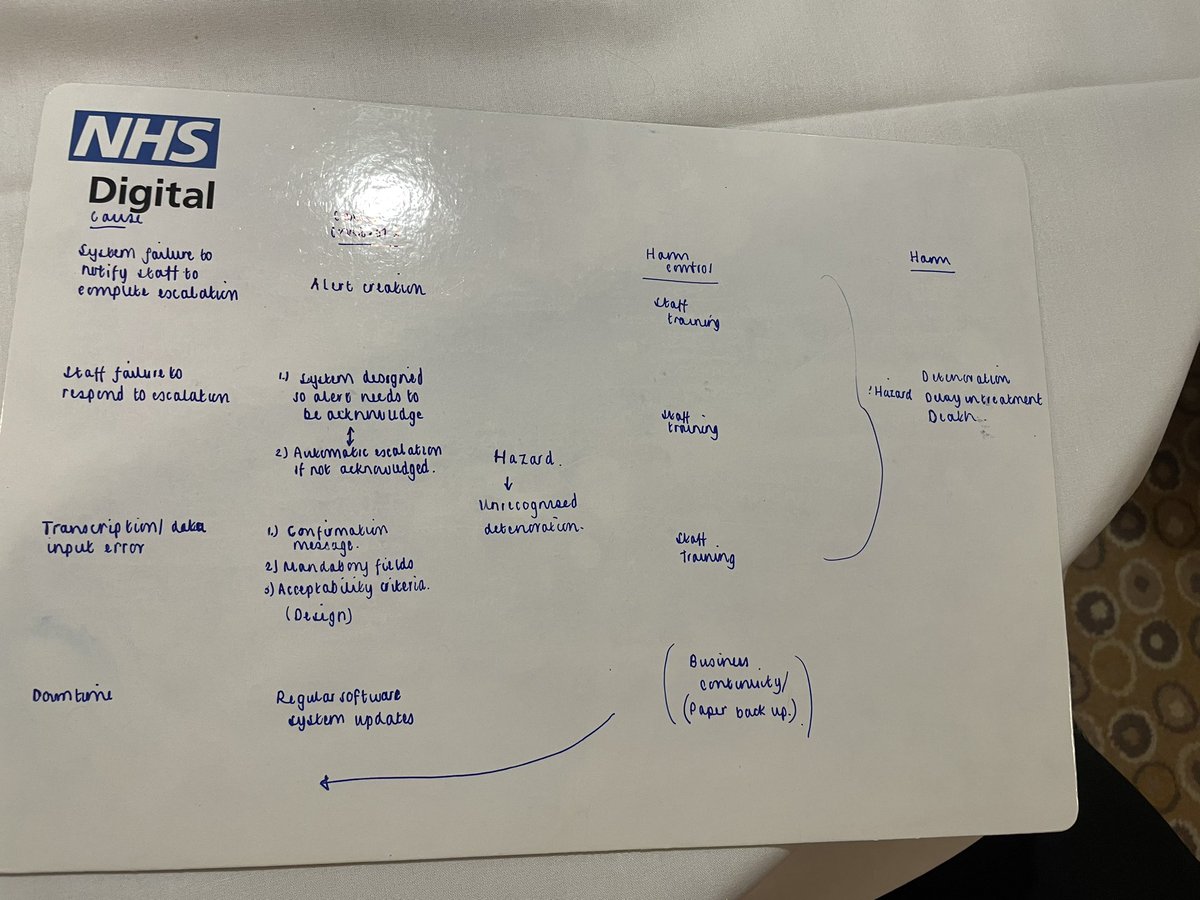 Digital Clinical Safety Training today ✅ @QuirkeViv @NHSDigital @NHSEngland #riskmanagement #clinicalsafety #birthdaygirl