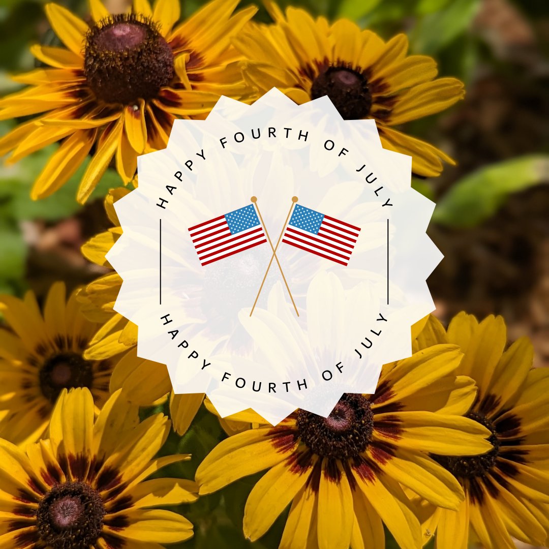 Happy 4th of July! We are closed today. 
We hope you and your loved ones have a fun and safe holiday! ✨🎆✨