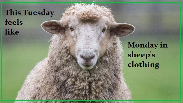 Yesterday was a holiday because July 1st was on Saturday.