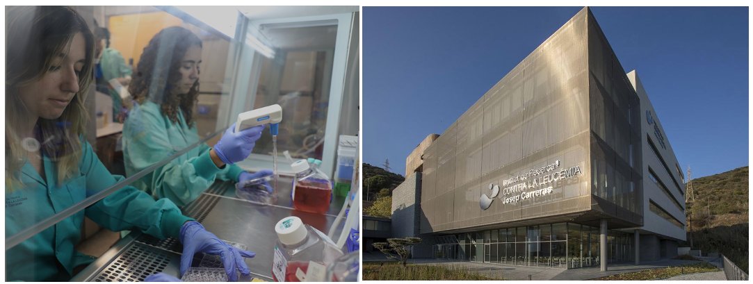 We are looking for a wet lab technician to support our cutting-edge #chromatin, #blood, #leukemia research. Join us at <a href="/CarrerasIJC/">Josep Carreras Leukaemia Research Institute (IJC)</a> headquarters. Apply here: shorturl.at/lIJNO. 
To know more about us: t.ly/vGKaF. 
Please RT!