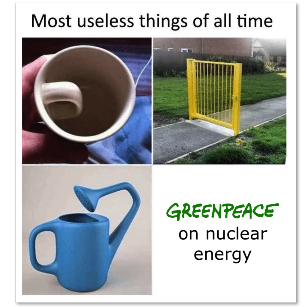 Hot take: the old environmental NGOs (Friends of the Earth, Greenpeace,  etc) have had a positive role in fighting pollution. But their anti-nuclear  zealousness has been a serious hindrance towards zero emissions.