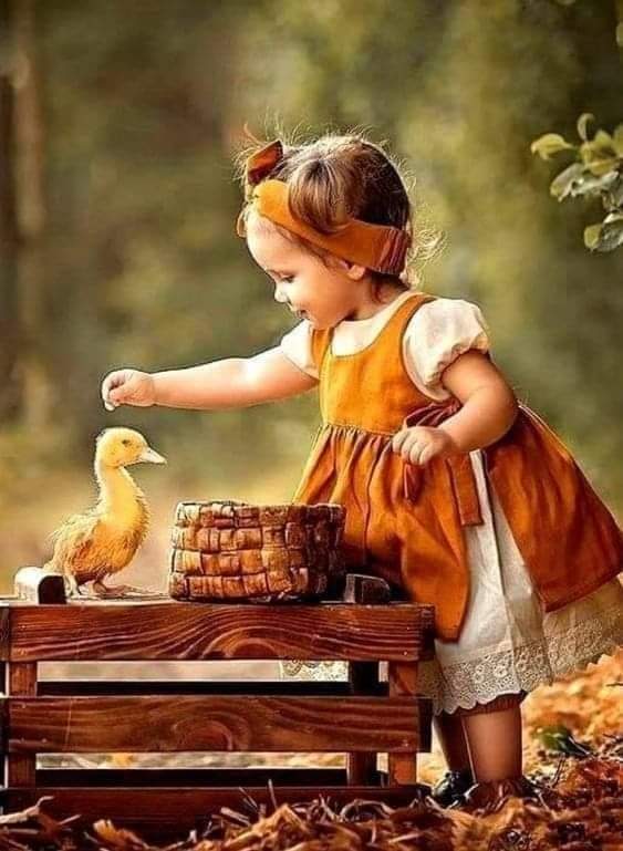 Daniella_C1804's tweet photo. It costs nothing to be a decent human being. 💝 https://t.co/Nxylx9giKU