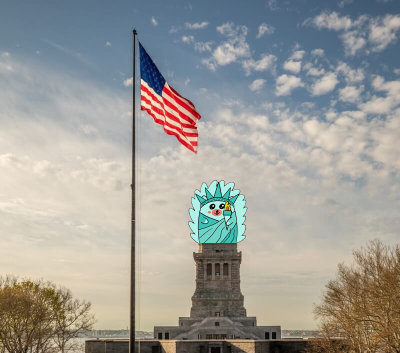 Fluffy Hedgehogs 🦔 tweet media