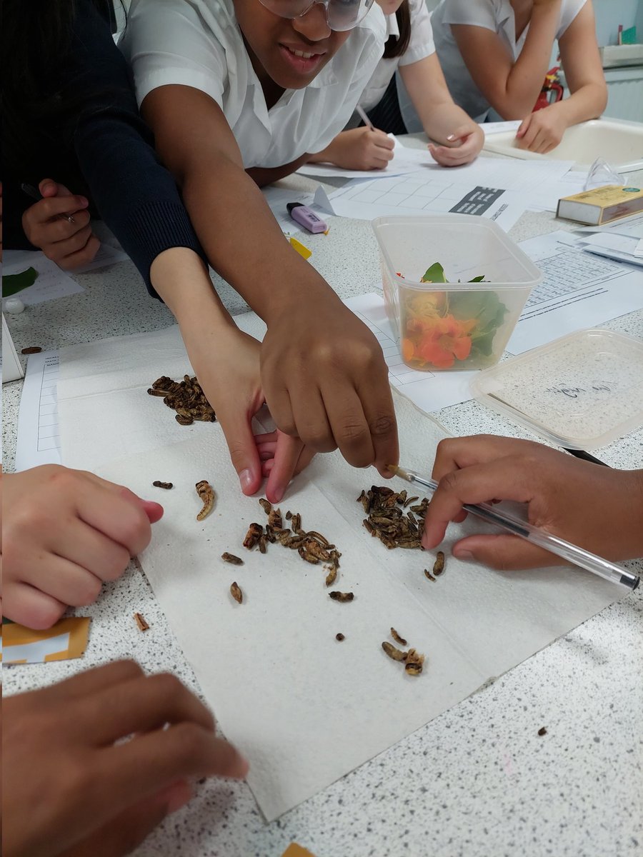 Loving our Yr 7s willingness to try out new things. Those who took part in our Incredible Edibles session today, as part of their Arts Week project on sustainable futures, did some taste testing of nasturtiums and bugs! Yum!