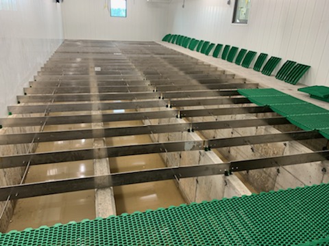 DortmansB's tweet photo. This @Vereijken nursery floor installation at the @UofGuelph  is complete. 🐷 For extra strength,💪 stainless steel rails and supports were used instead of fiberglass. 
#dortmansbros #nurseryfloor #Vereijken #UniversityOfGuelph #farrowing #ontag https://t.co/6cZ7M5jCfV